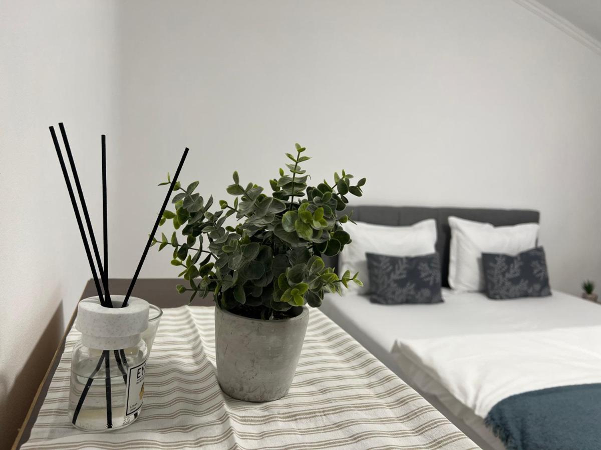 كلوج-نابوكا Green Holidays المظهر الخارجي الصورة